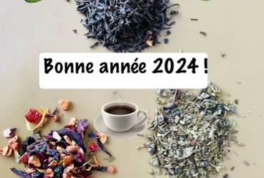 Bonne Année 2024 !